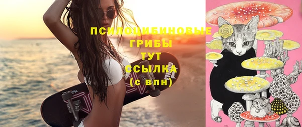 винт Армянск