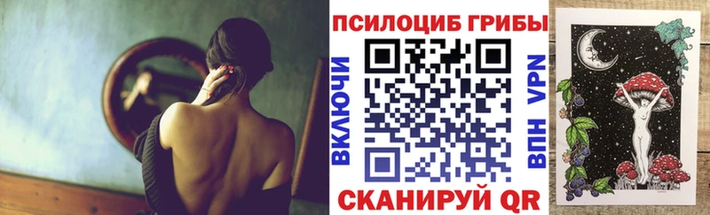 где можно купить наркотик  Свирск  Галлюциногенные грибы Magic Shrooms 